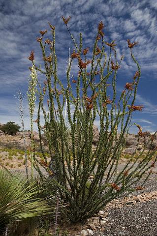 090 City Of Rocks State Park.jpg